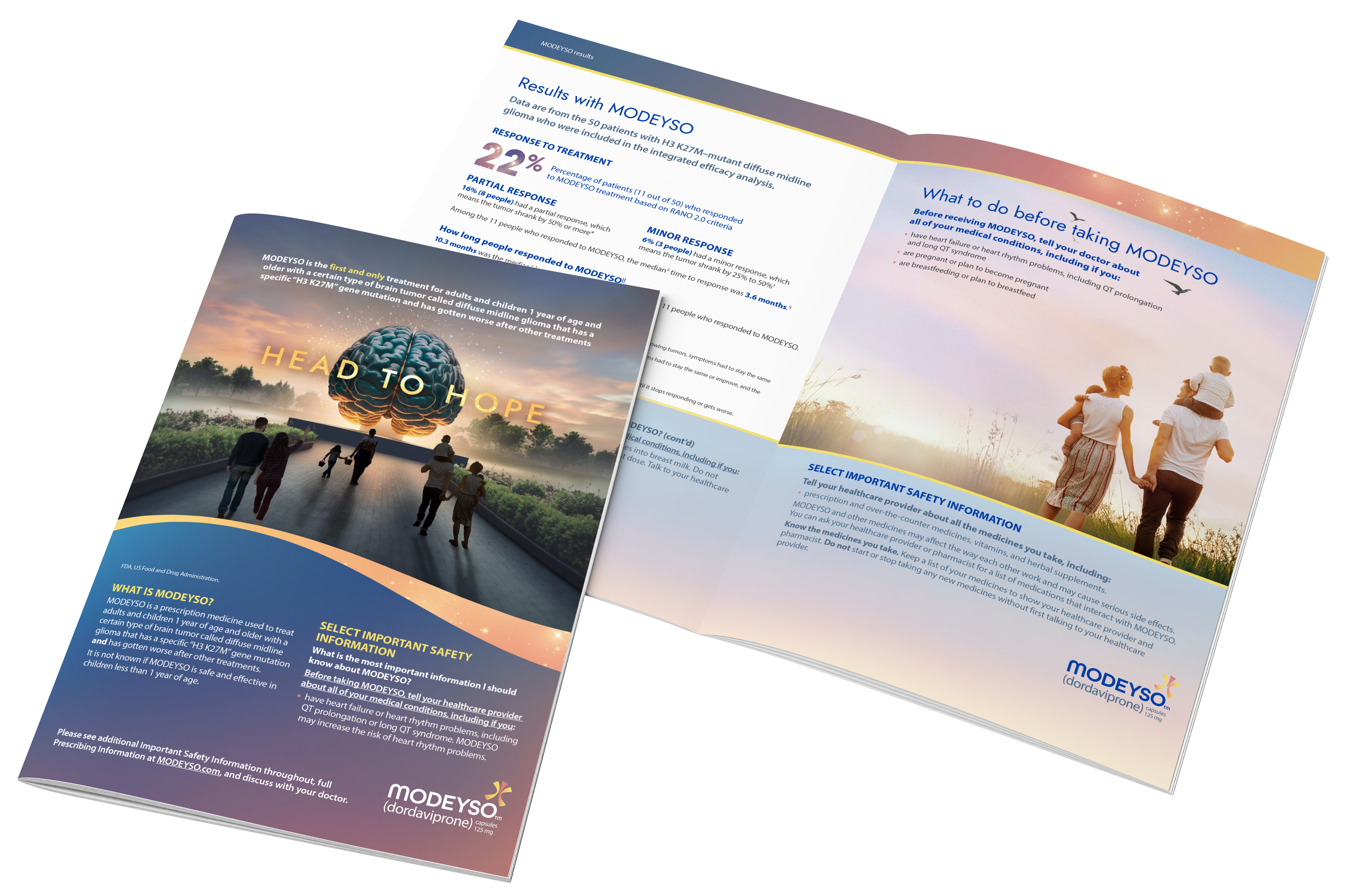 Downloadable MODEYSO patient brochure, highlighting once-weekly therapy guidance